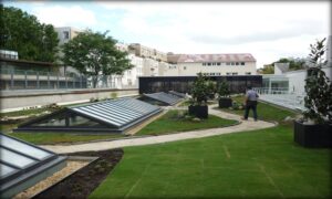 Toitures terrasses végétalisées 2