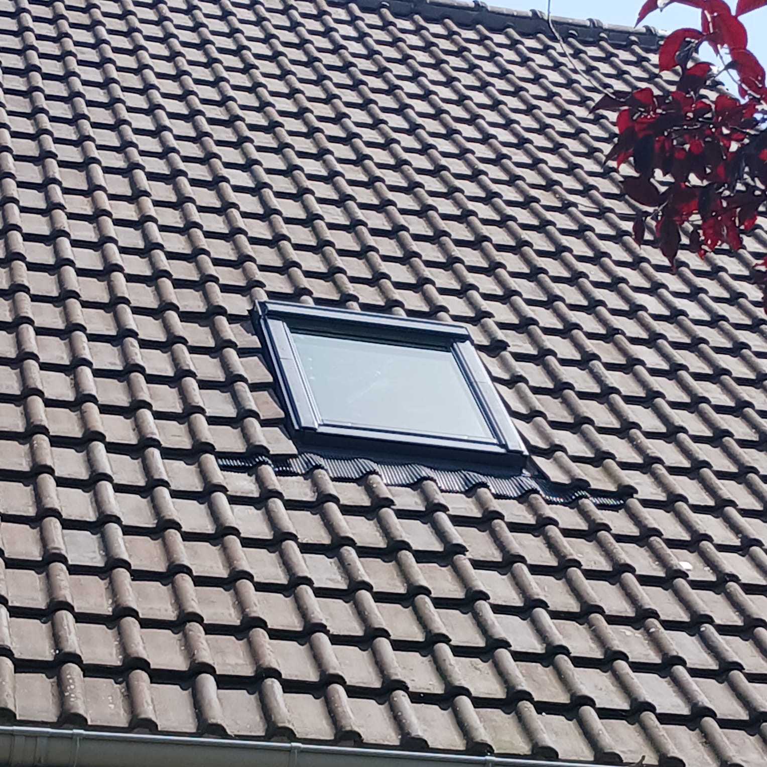 f7614e4e-987e-4147-a3a0-79e49b02d1f6